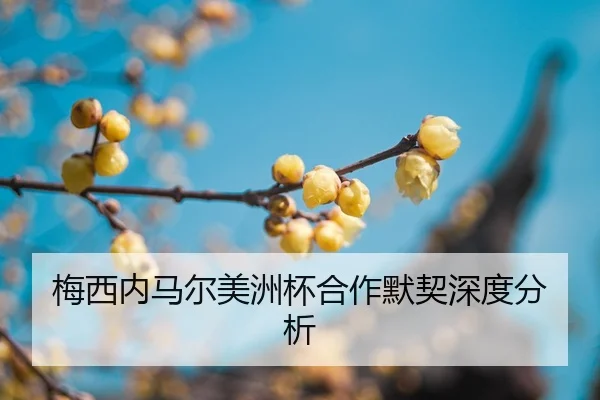 mei-xi-nei-ma-er-mei-zhou-bei-he-zuo-mo-qi-shen-du-fen-xi-2-636.jpg