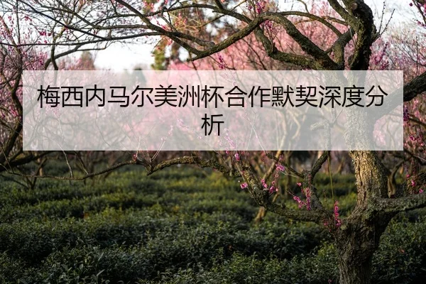 梅西内马尔美洲杯合作默契深度分析
