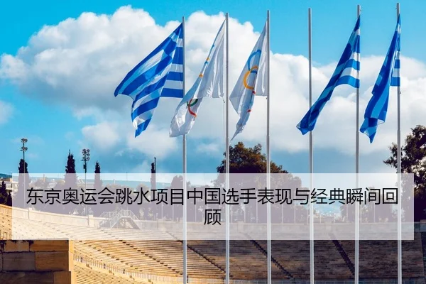 东京奥运会跳水项目中国选手表现与经典瞬间回顾