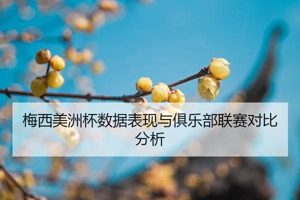 mei-xi-mei-zhou-bei-shu-ju-biao-xian-yu-ju-le-bu-lian-sai-dui-bi-fen-xi-2-127.jpg