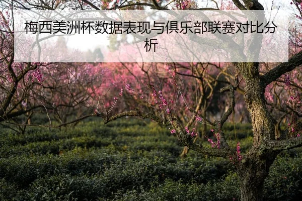 梅西美洲杯数据表现与俱乐部联赛对比分析