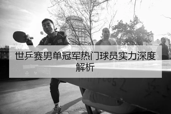 世乒赛男单冠军热门球员实力深度解析